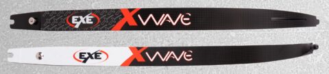 WAVE-2024