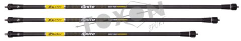 BOOSTER STABILIZZATORE IGNITE-53Y598