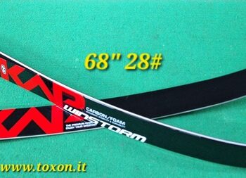 KAP COPPIA FLETTENTI WINSTORM CARBON 68" 28# - USATO